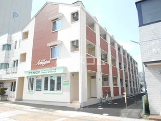 アーリントンの画像