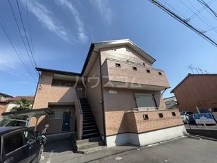 グレーシア細米の画像