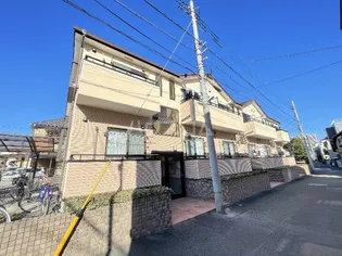 カロス30の画像