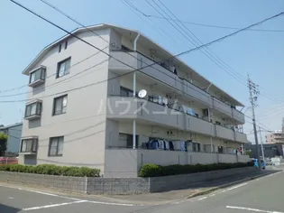 メモアール中花の画像