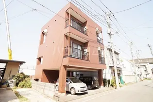 プルメリアJの画像