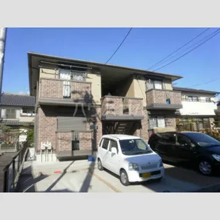 ウィルモア開平の画像