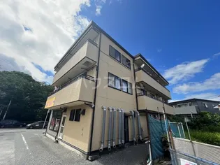 ゴールデンシティの画像