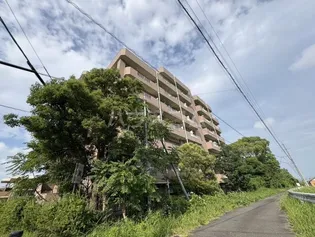 三陽ビルの画像