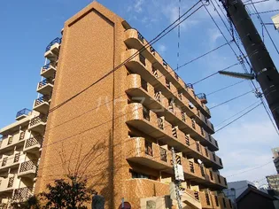 ダイアパレス高崎中央【7階】の外観