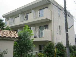 カサブランカNの画像