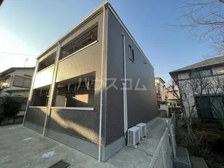 グレース ステラの画像