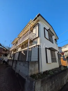 パーシモン市金の画像