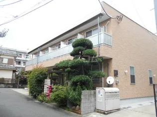 リブリ T&Sの画像