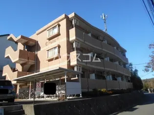 ボヌールBの画像