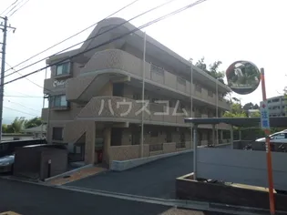 ベルコリーヌ【206号室】の外観