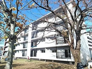 いろどりの杜の画像