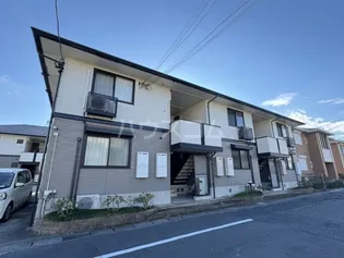 ヴァンホーリーの画像