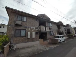 ピア ネクストの画像