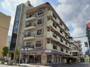 パレヤマトクの画像