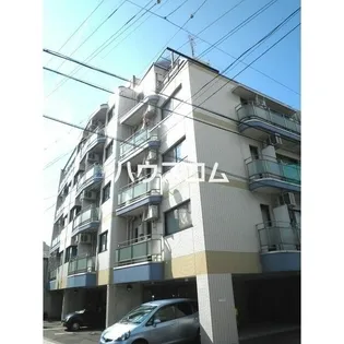 ラフェリアーナの画像