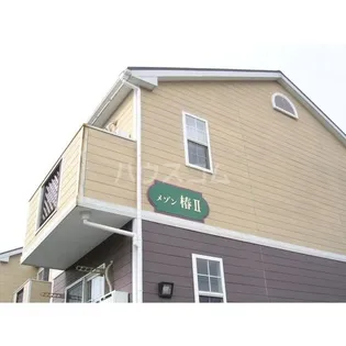 メゾン椿2の画像