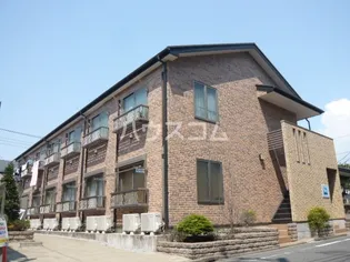 WELINA SHOEIIの画像