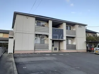 ベラ ペルラの画像