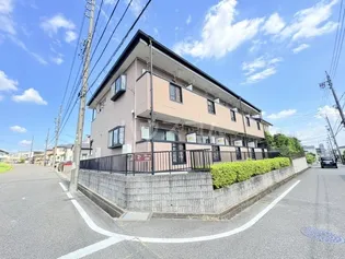 グレイスの画像