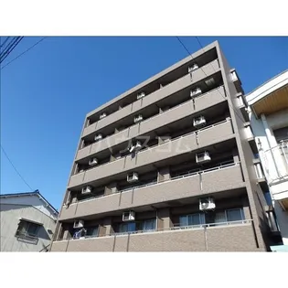 アピエ黄金の画像