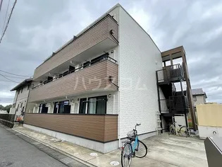 ルピナスの画像