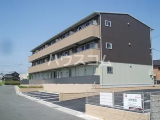 スプリングウッドの画像