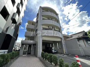 エバーグリーン明治の画像