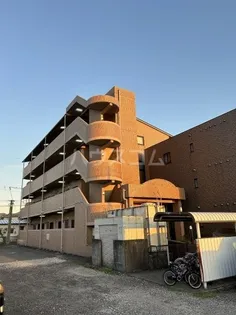 ルミエールの画像