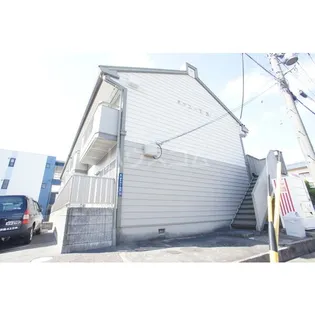 タウニーY Nの画像