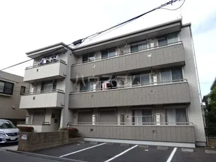 エバーグリーンの画像