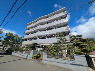 スターシャイン瑞穂の画像