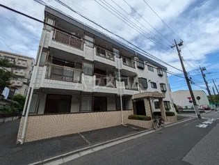 エミコーポラスの画像