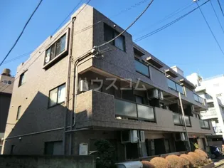 グレイスコアの画像