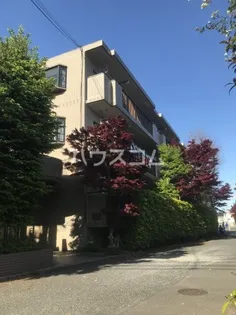 ドルフヤマノウチAの画像