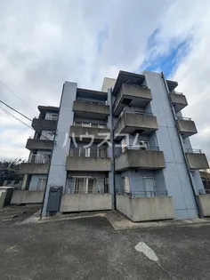 ロイヤル長草の画像