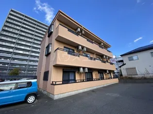 SUNSUN都の画像