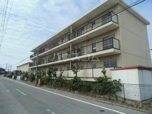 ルナルーチェ前浜の画像