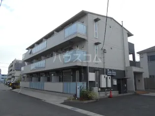 マルベリーの画像