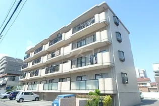 アベニューサンフラワーの画像