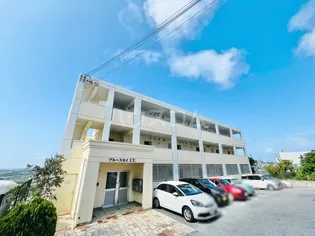 ブルースカイ I Yの画像