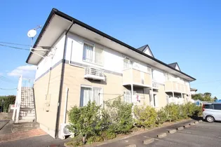 ひまわりⅡの画像