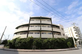 パラポリカの画像