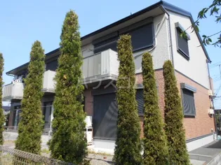 パルコートの画像