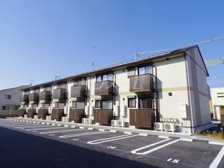 プエラリア サクラ Iの画像