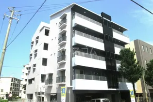 カーサツハの画像