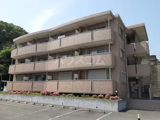 神奈川県秦野市下大槻【マンション】の外観