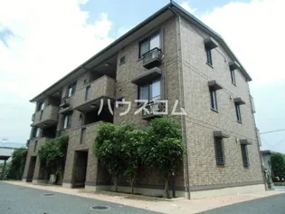 ジャーマンアイリス IIの画像