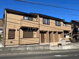 OLIVE ARBRE 30の画像