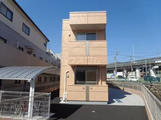 ファイン コーラルの画像